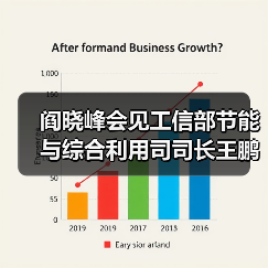 阎晓峰会见工信部节能与综合利用司司长王鹏一行（图3）