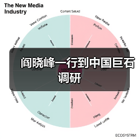 阎晓峰一行到中国巨石调研（图2）