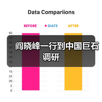 阎晓峰一行到中国巨石调研（图4）