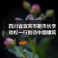 四川省宜宾市副市长李劲松一行到访中国建筑材料联合会(图4) 四川省宜宾市副市长李劲松一行到访中国建筑材料联合会(图4)