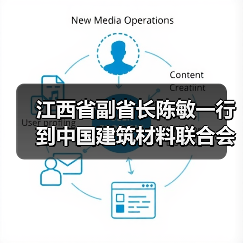 江西省副省长陈敏一行到中国建筑材料联合会调研（图4）
