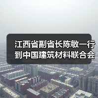 江西省副省长陈敏一行到中国建筑材料联合会调研（图3）