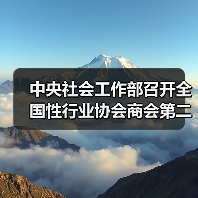 中央社会工作部召开全国性行业协会商会第二批学习贯彻习近平新时代中国特色社会主义思想主题教育总结会（图4）