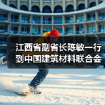 江西省副省长陈敏一行到中国建筑材料联合会调研（图1）