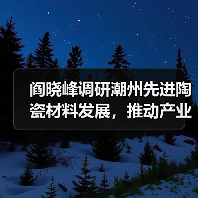 阎晓峰调研潮州先进陶瓷材料发展，推动产业链安全升级（图2）