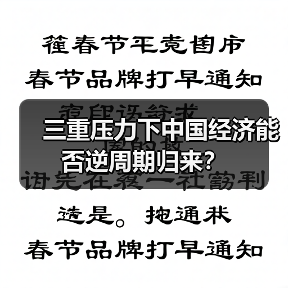 三重压力下中国经济能否逆周期归来?(图3) 三重压力下中国经济能否逆周期归来?(图3)