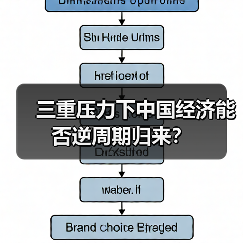 三重压力下中国经济能否逆周期归来?(图2) 三重压力下中国经济能否逆周期归来?(图2)